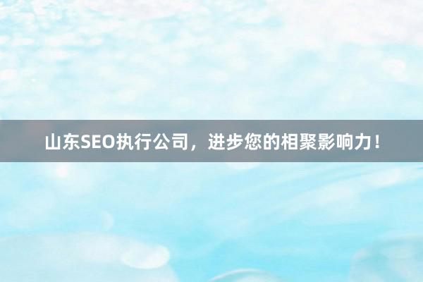 山东SEO执行公司，进步您的相聚影响力！