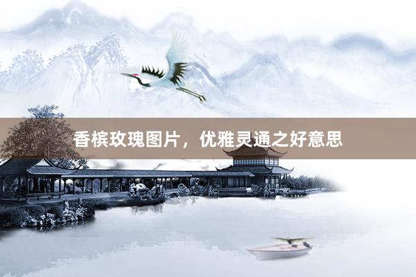 香槟玫瑰图片，优雅灵通之好意思
