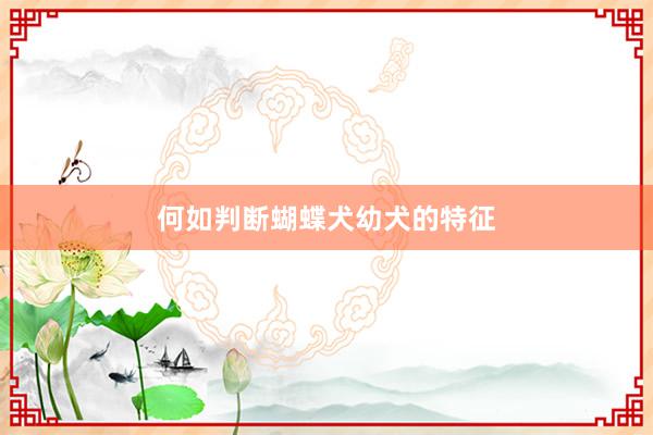 何如判断蝴蝶犬幼犬的特征