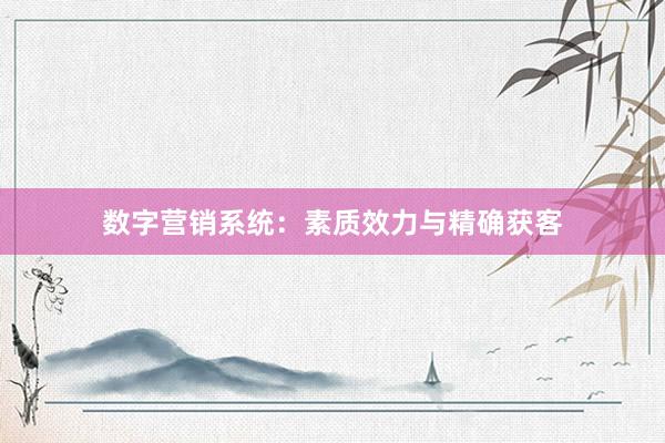 数字营销系统：素质效力与精确获客